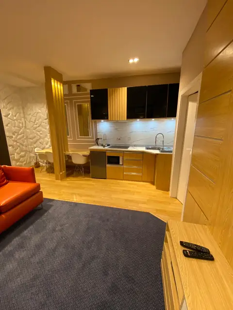 Open plan kitchenette with an orange sofa and dark rug